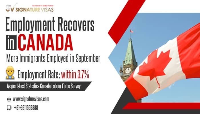Employment Rate Recovers in Canada