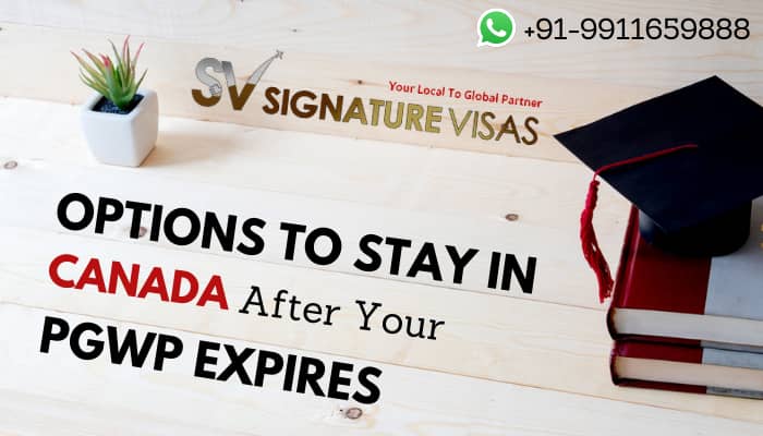options to stay in canada after your PGWP expires